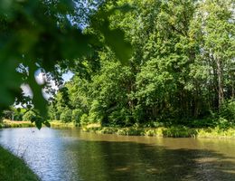 Ein ruhiger Fluss, umgeben von üppigem Grün und Bäumen, unter einem klaren blauen Himmel.