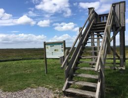 Unüberdachter hölzerner Aussichtsturm mit Infotafel daneben in der Natur