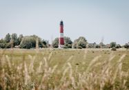 Nordseeküste Nordfriesland | Markus Rohrbacher