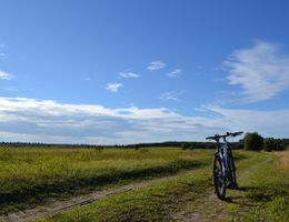 Ein Fahrrad steht auf einem Feldweg. Es ist blauer Himmel mit Wolken in der Ferne zu sehen und Grüne Wiese säumt den unbefiestigten Weg.