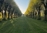 Holstein Tourismus / Grow Agency