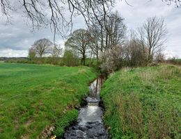 Ein kleiner Bach fließt durch eine grüne Wiese, umgeben von kahlen Bäumen unter einem bewölkten Himmel.