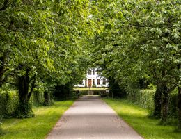 Ein gepflasterter Weg führt durch eine Allee aus grünen Bäumen zu einem weißen Gebäude.