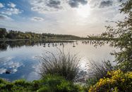 Holstein Tourismus / photocompany
