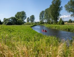 Zwei Menschen paddeln in einem rotes Kanu durch eine gründe idyllische Flusslandschaft.