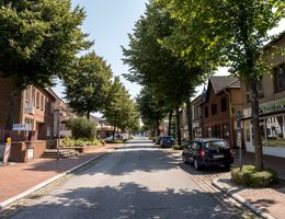 Straße in der Innenstadt von Hohenwestedt mit Bäumen und geparkten Autos.