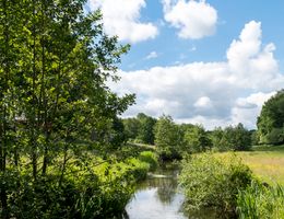 Ein kleiner Fluss fließt durch eine grüne Landschaft unter einem blauen Himmel mit weißen Wolken.