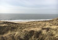 Lynn Scotti, Sylt Marketing GmbH